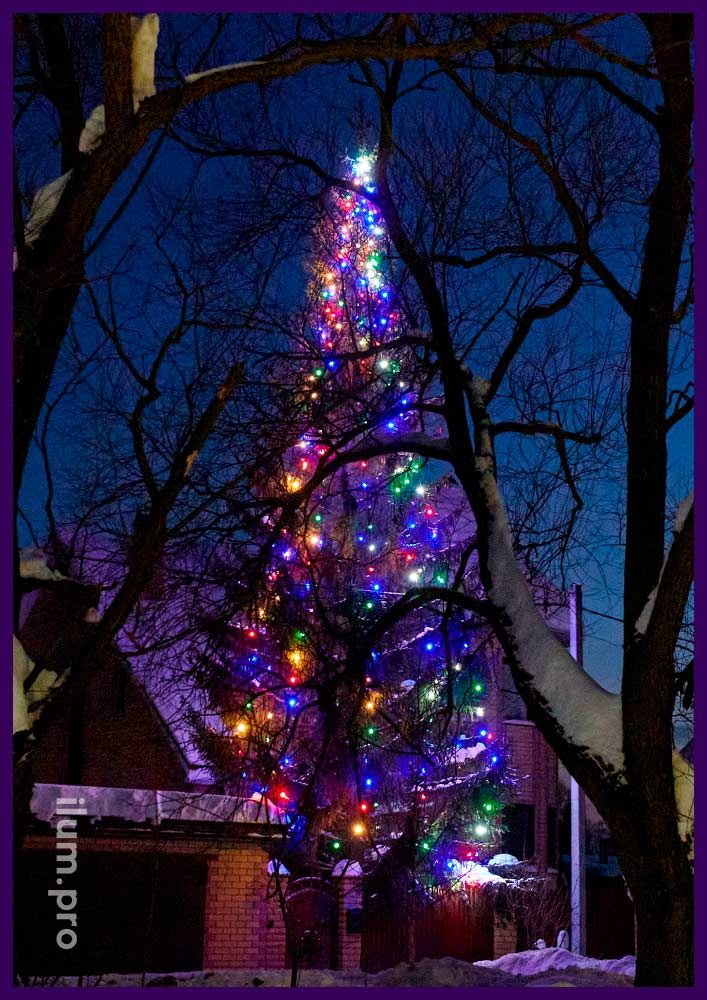 Новогоднее оформление живой ёлки белтлайтом с крупными, разноцветными лампочками и чёрным проводом