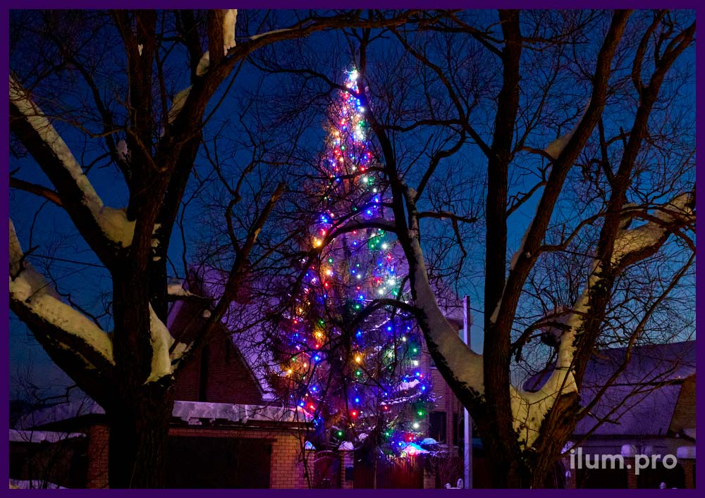 Новогодний белтлайт с разноцветными лампочками и толстым резиновым кабелем на уличной ёлке на Новый год