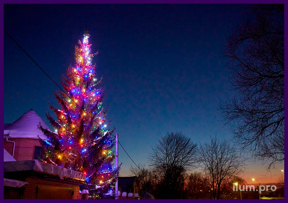 Подсветка живой ёлки светодиодным белтлайтом на Новый год, украшение частных владений