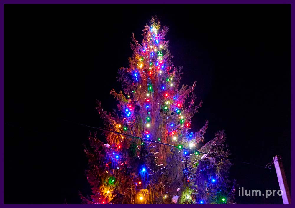 Подсветка уличной ели на Новый год светодиодным белтлайтом с разноцветными лампочками