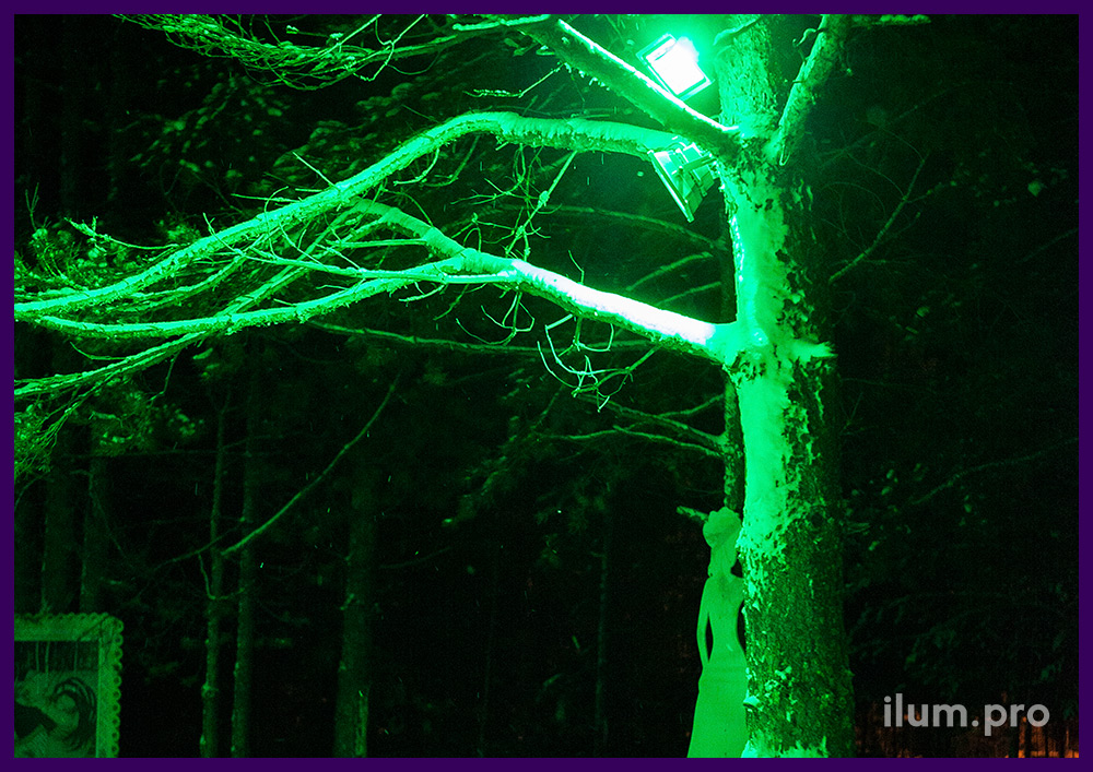 Разноцветные прожекторы со светодиодными лампочками на деревьях