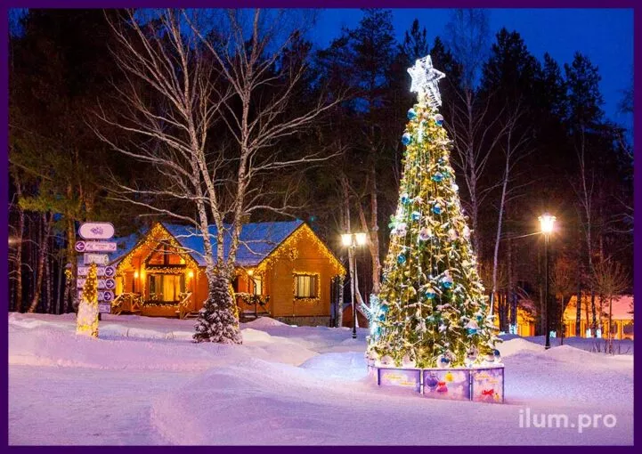 Уличная новогодняя ёлка с макушкой, звёздами и гирляндами и украшенный гирляндами дом