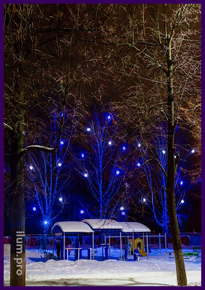Подсветка берёз в парке белыми и синими снежинками, а также разноцветными прожекторами
