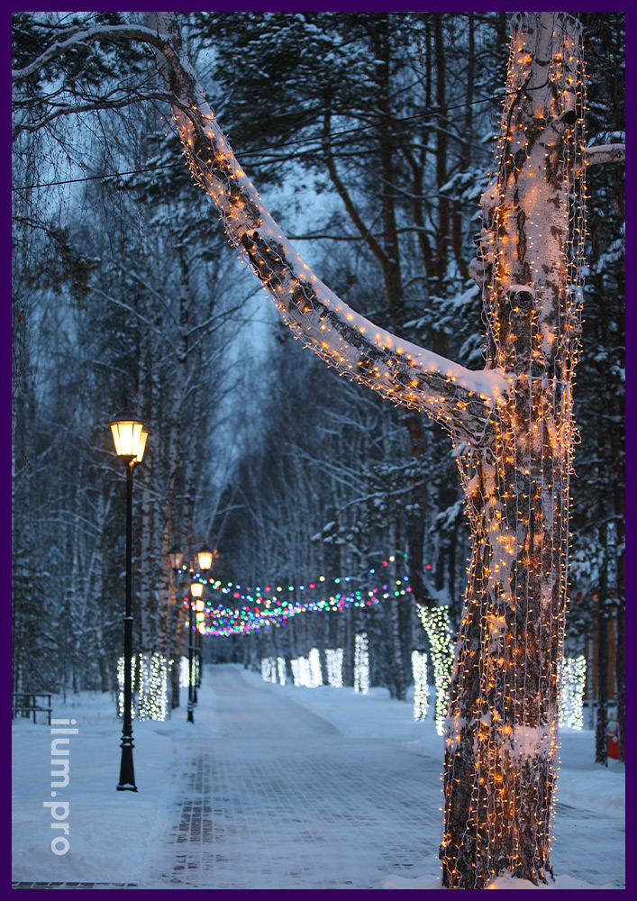 Новогодний белтлайт и светодиодные занавесы на стволах деревьев в парке