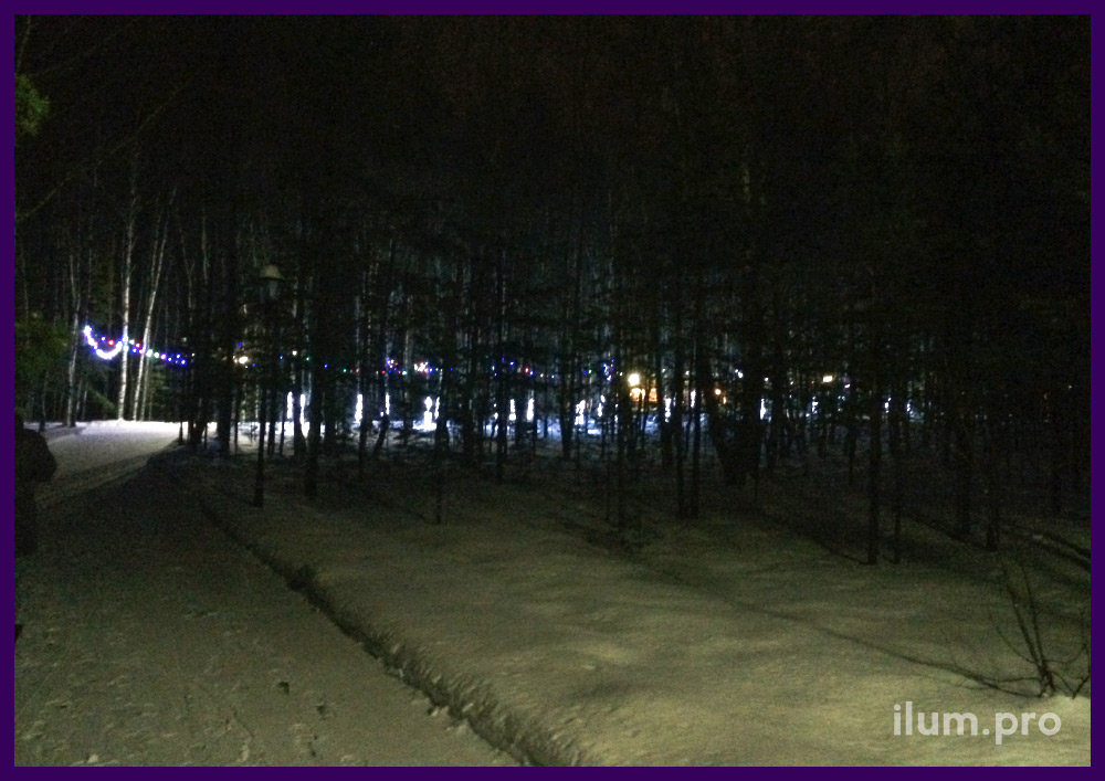 Подсветка дорожки в парке разноцветными лампочками белтлайт, подсветка деревьев
