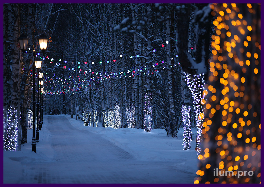 Подсветка белтлайтом разных цветов дорожки в парке, занавесы на деревьях