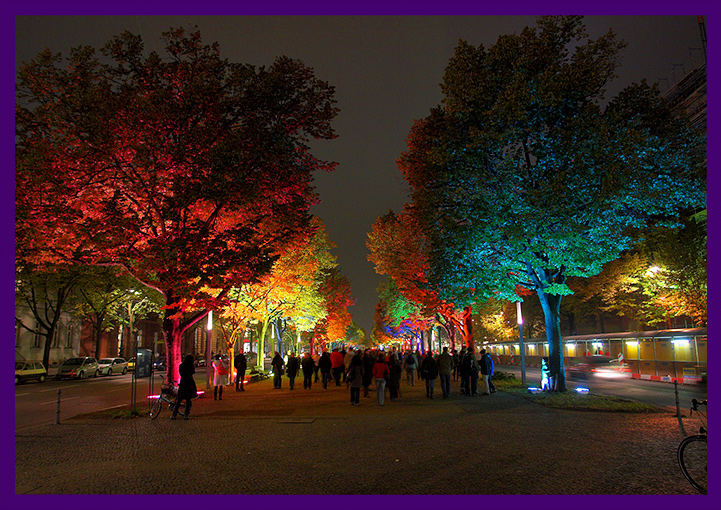 Подсветка деревьев светодиодными прожекторами разных цветов