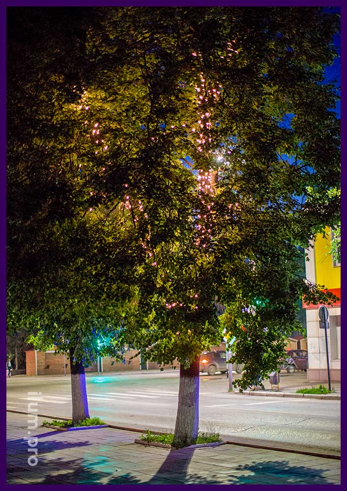 Летние светодиодные гирлянды на стволах деревьев в Гусь-Хрустальном
