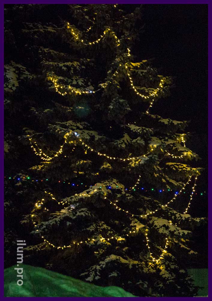 Светодиодные гирлянды для украшения живых елей в парке на Новый год