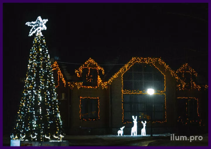 Подсветка частного дома и ёлка в гирляндах, светодиодные фигуры оленей перед домом