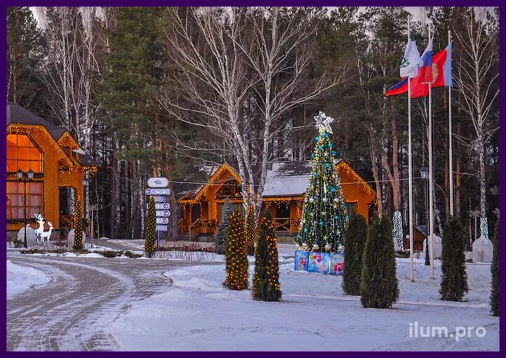 Светодиодные гирлянды на домах и ствольная пятиметровая ёлка, новогодняя иллюминация во Владимирской области