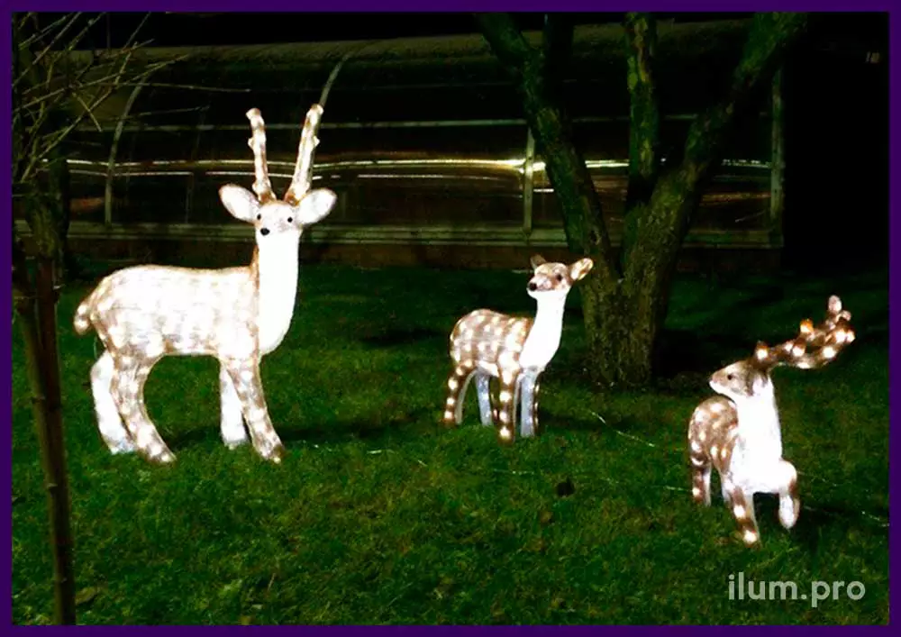 Световые фигуры оленей из акрила во дворе, подсветка встроенными светодиодами