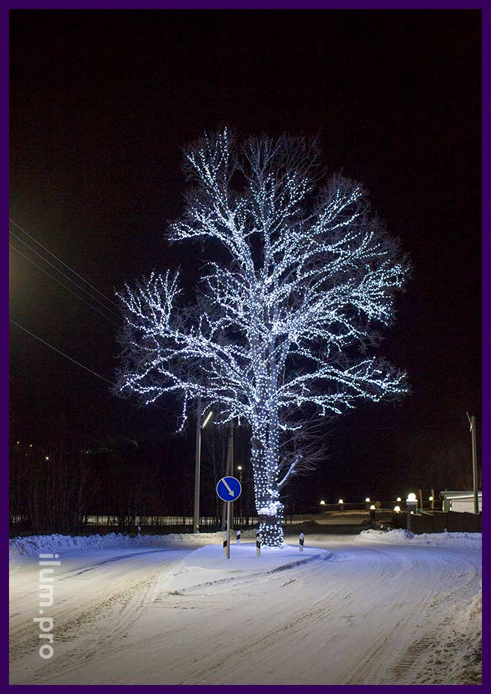 Подсветка дерева светодиодными гирляндами белого цвета с защитой от осадков