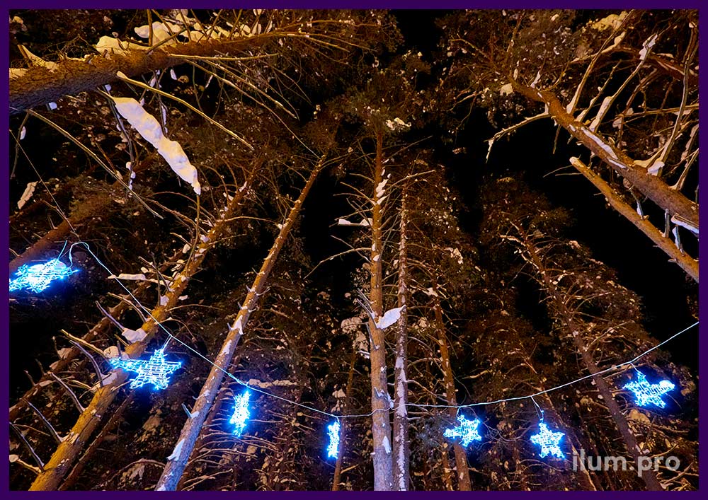 Новогодние звёзды с гирляндами и металлическим каркасом на деревьях в городском парке