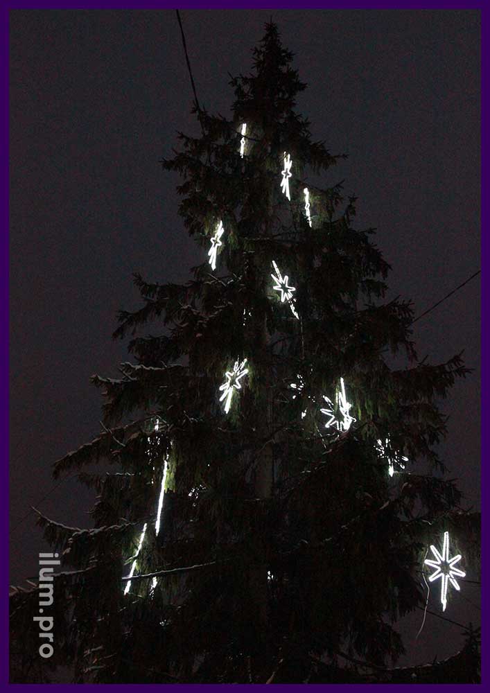 Подсветка деревьев светящимися звёздами из алюминиевого каркаса и дюралайта белого цвета