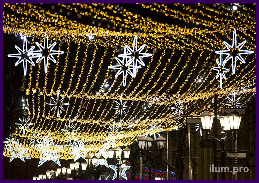 Новогодние гирлянды для украшения улицы в Рязани - звёздное небо с защитой от дождя и снега