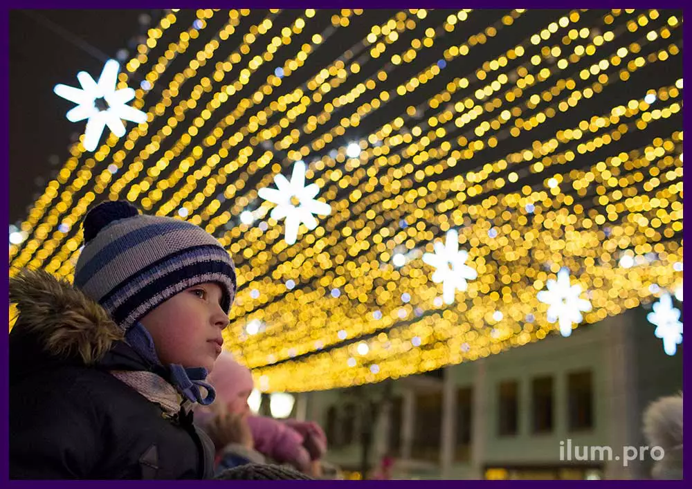 Гирлянды и другая иллюминация на Новый год в Рязанской области, подсветка улицы