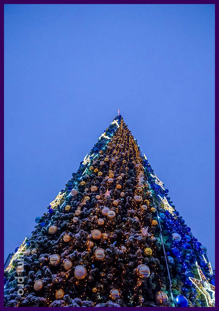 Украшение новогодней ели перед ТЦ Серебряный город в Иваново светящимися звёздами