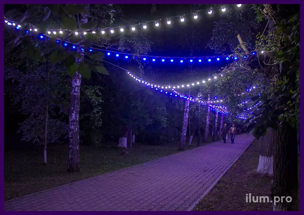 Подсветка дорожек в парке гирляндами белого и синего цвета