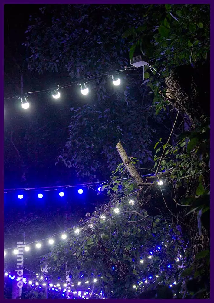 Лампочки белтлайт на гирлянде между деревьями в парке села Орда, светоды IP65