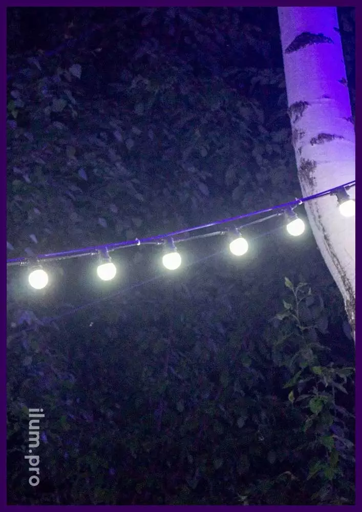 Белтлайт белый с крупными лампочками - гирлянда для подсветки деревьев