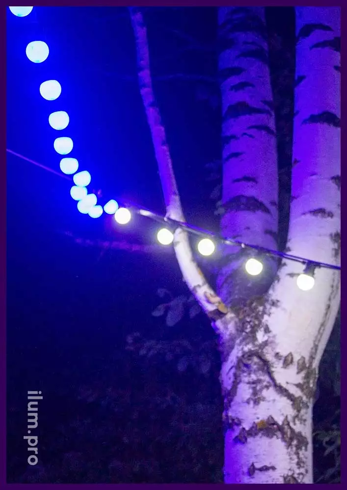 Лампочки светодиодные - гирлянда белтлайт на берёзе в парке, украшение в Пермском крае