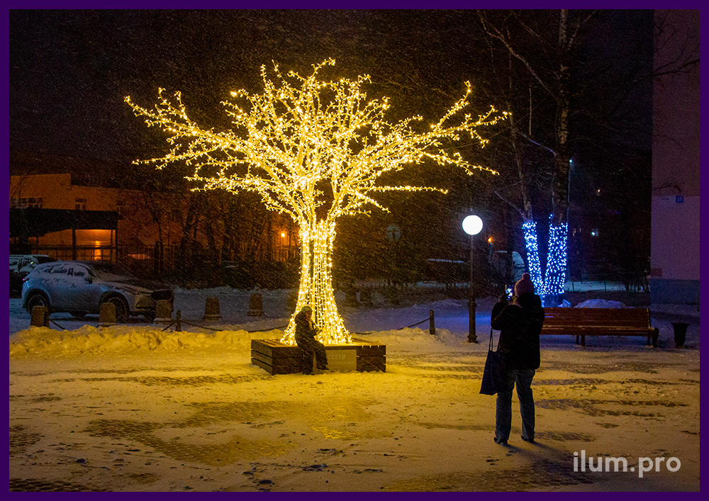 Фотозона с подсветкой гирляндами в форме дерева со скамейкой на улице Владимира