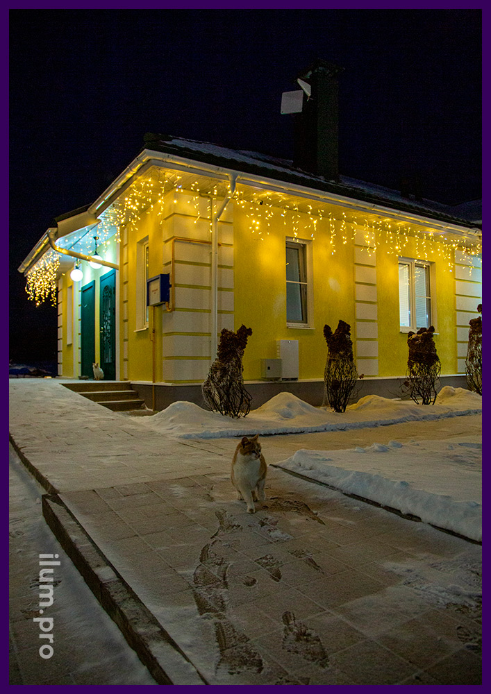 Новогоднее освещение частного особняка в Юрьев-Польском районе и сосны на участке