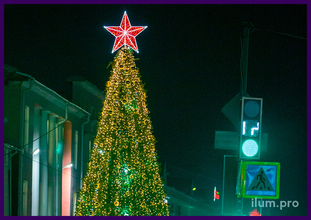 Новогодняя ёлка в центре города во Владимирской области с красной звездой на макушке