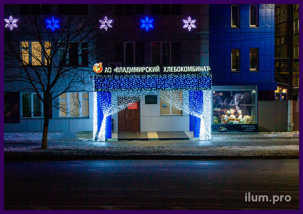 Подсветка входной группы здания уличными гирляндами на Новый год