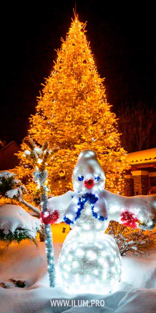 Новогоднее украшение ёлки гирляндами и фигура снеговика во дворе дома