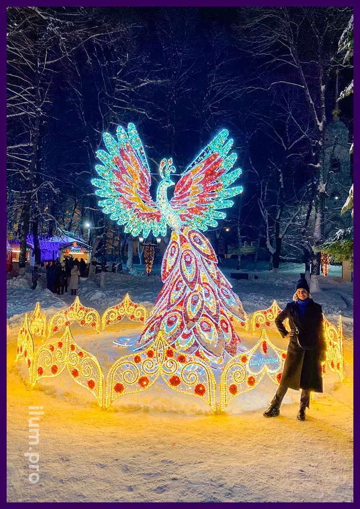 Светодиодная жар-птица в центре Владимира на Новый год, подарок компании Дау Изолан