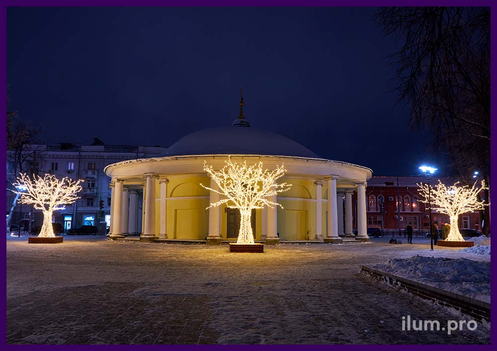 Деревья из металлических труб с подсветкой гирляндами и деревянными скамейками в Ярославле на Новый год у Ротонды