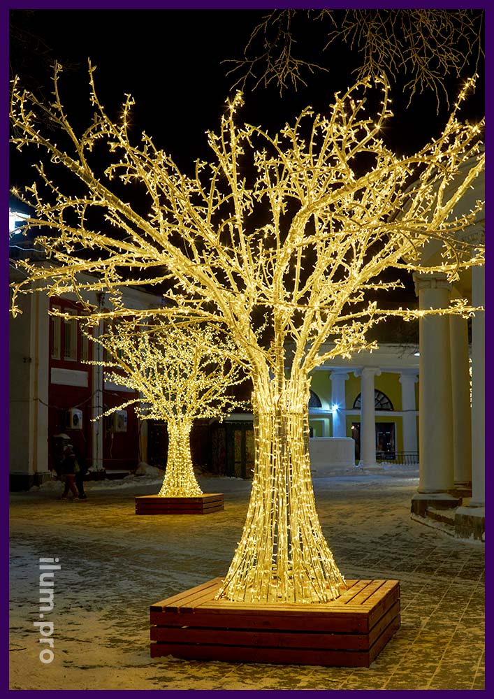Украшение Ярославля на Новый год светящимися деревьями с уличными гирляндами тёпло-белого цвета