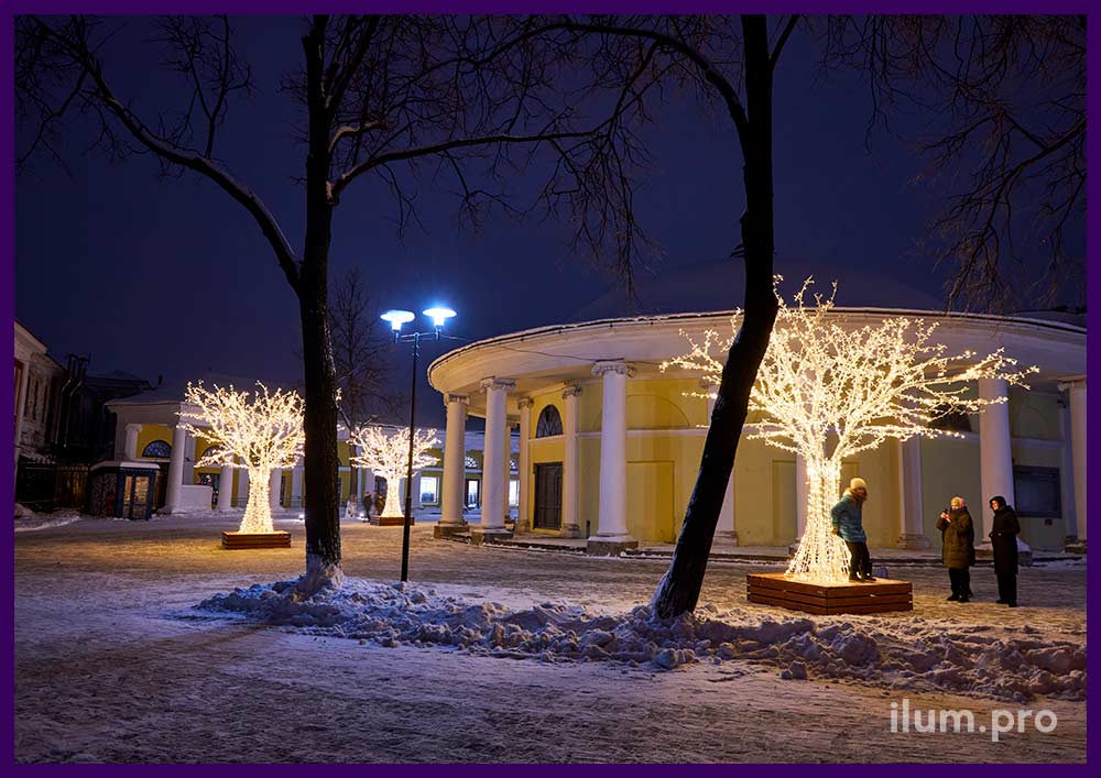Деревья с уличными гирляндами и металлическим каркасом в Ярославле у Ротонды на Новый год