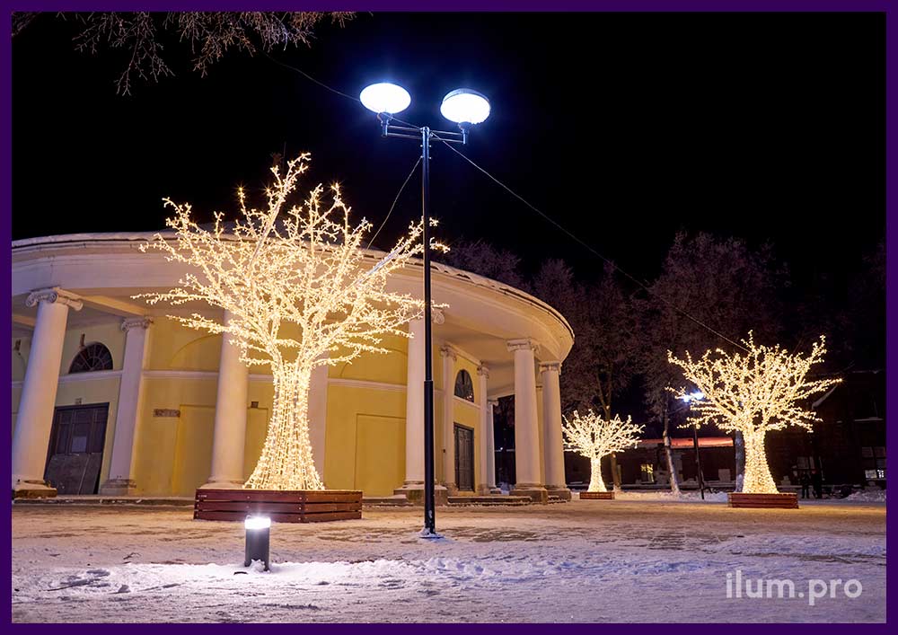 Украшение Ярославля новогодней иллюминацией, светящиеся деревья с тёпло-белыми гирляндами