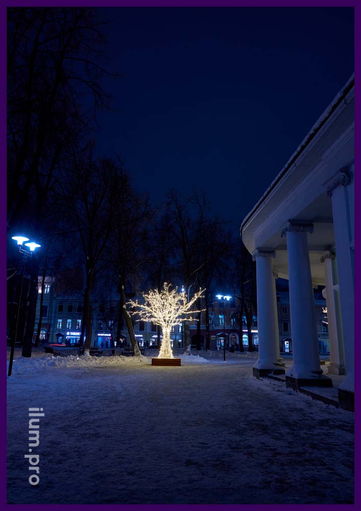 Новогодний Ярославль, дерево тёпло-белого цвета с уличными гирляндами и скамейкой из дерева в основании