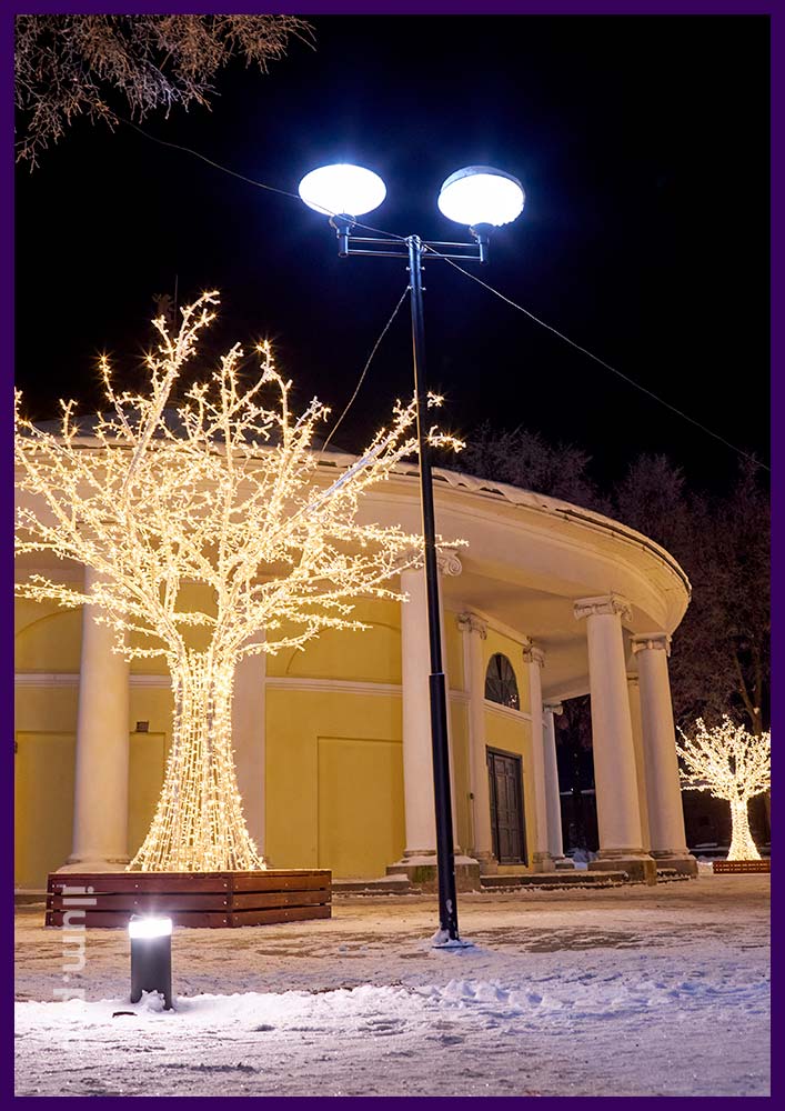 Новогодняя иллюминация в Ярославле, украшение площади у Ротонды деревьями из алюминия и гирлянд тёпло-белого цвета