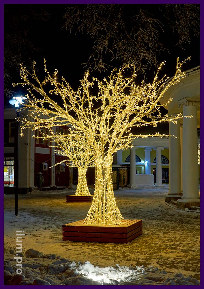 Украшение Ярославля новогодними деревьями с гирляндами и металлическим каркасом из алюминия