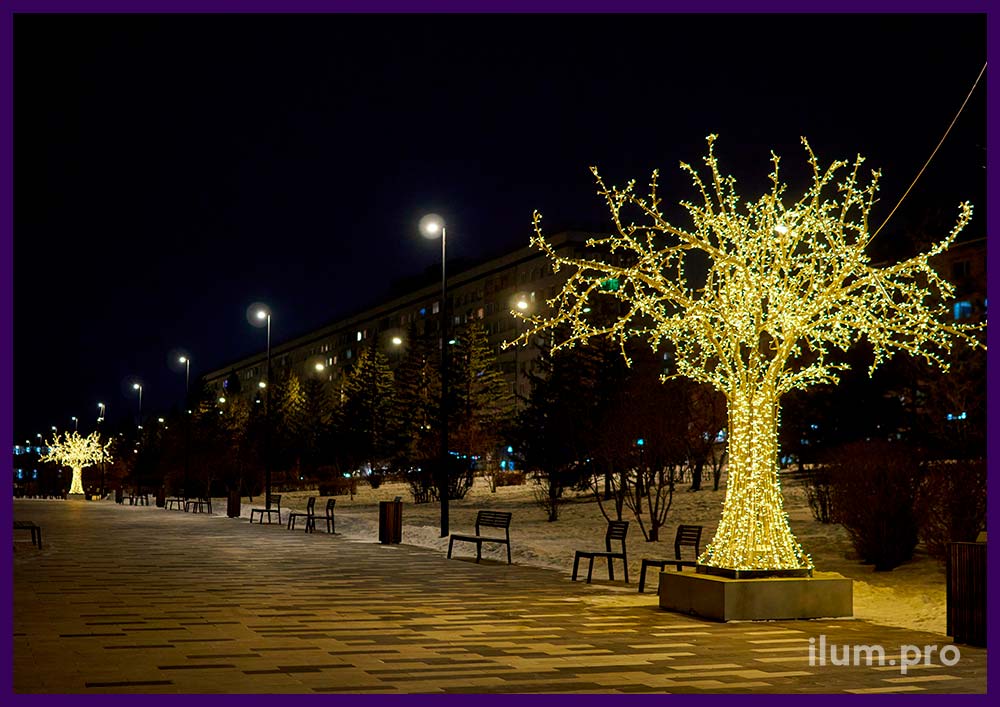 Деревья светящиеся тёпло-белые на набережной Красноярска - новогодняя иллюминация