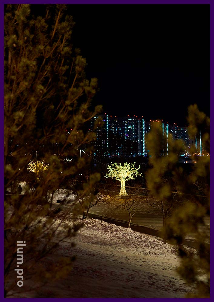 Новогодняя иллюминация на набережной Красноярска - светодиодная иллюминация в форме деревьев