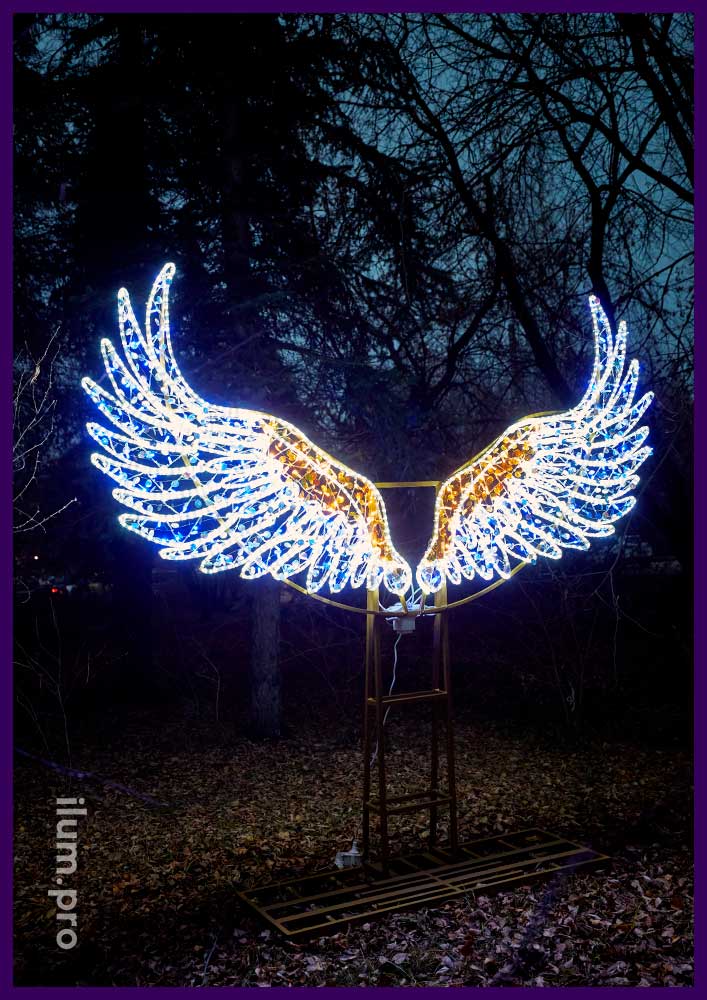 Фотозона в городском парке - светящиеся крылья с блёстками и иллюминацией