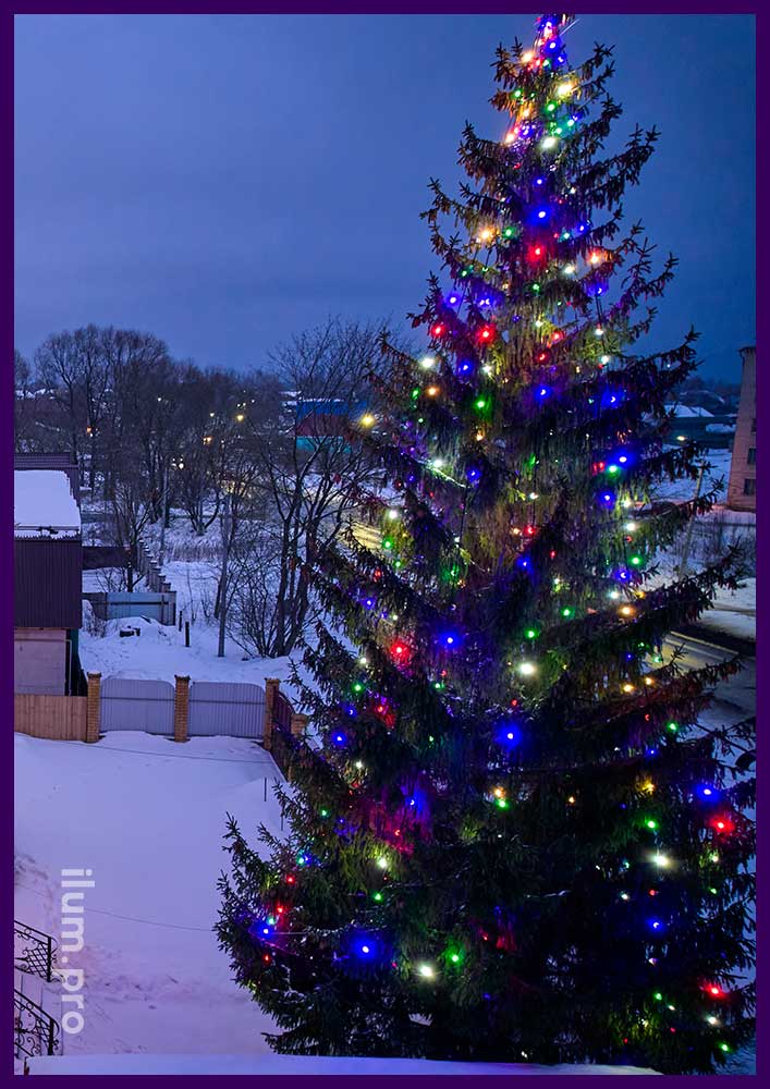 Новогодняя подсветка живой ёлки во дворе дома разноцветными лампочками белтлайт