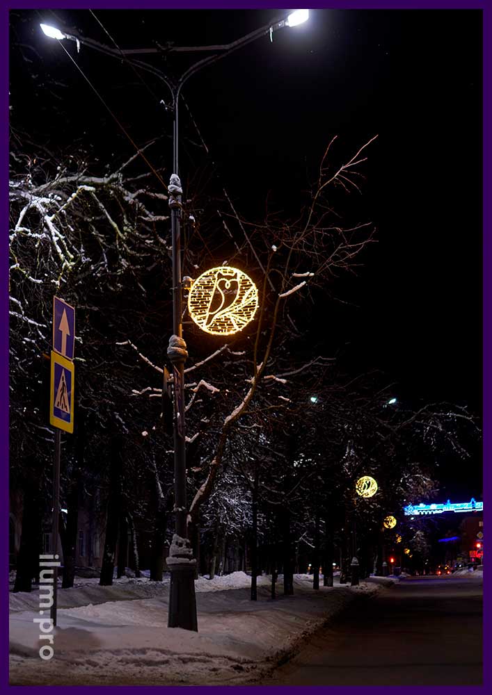 Новогодняя иллюминация в Новгородской области - круглые световые консоли с птицами