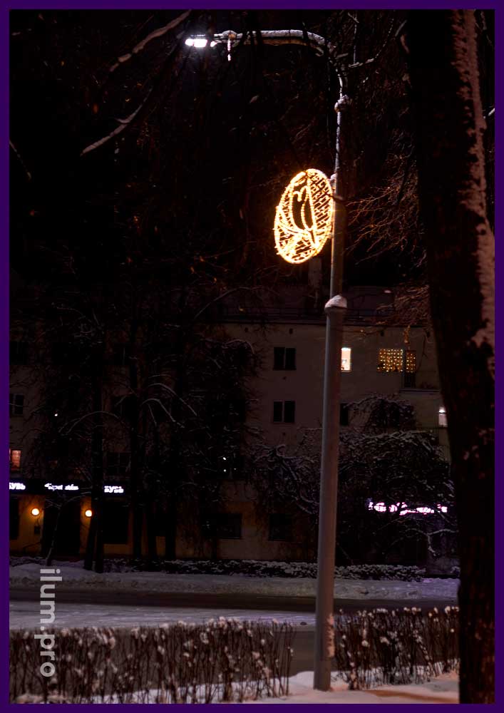 Украшение фонаря на улице Чудинова светодиодной консолью с совой, сидящей на ветке