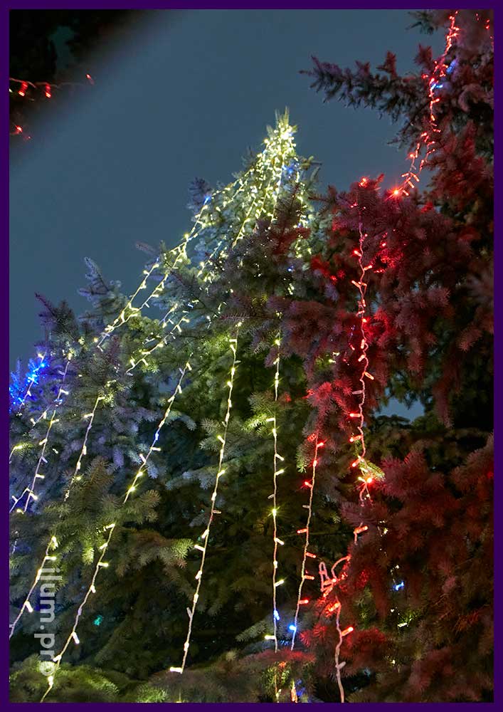 Ёлка с разноцветной иллюминацией в Москве, украшение деревьев на новогодние праздники