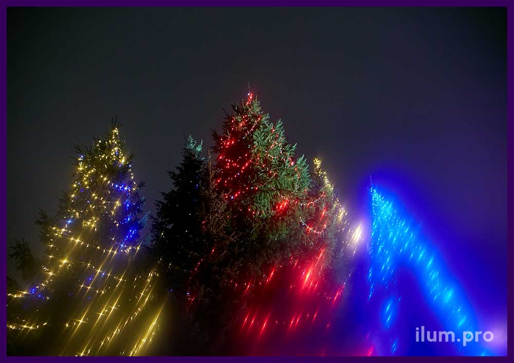 Украшение ёлок во дворе собора в Москве разноцветными гирляндами к Рождеству