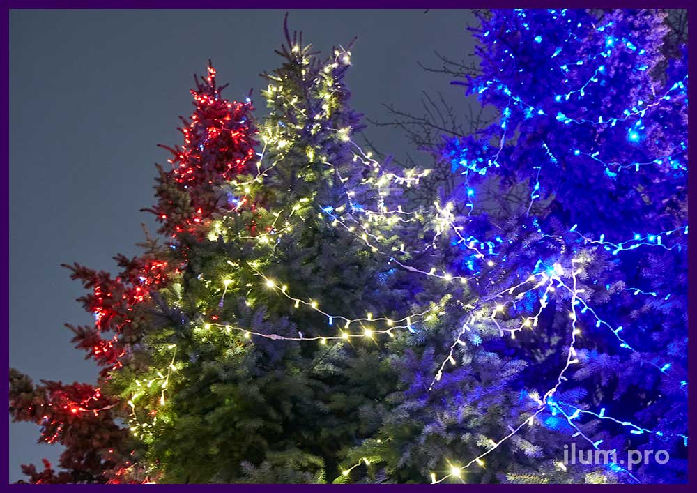 Новогодняя подсветка ёлок разноцветными гирляндами к Рождеству в Москве