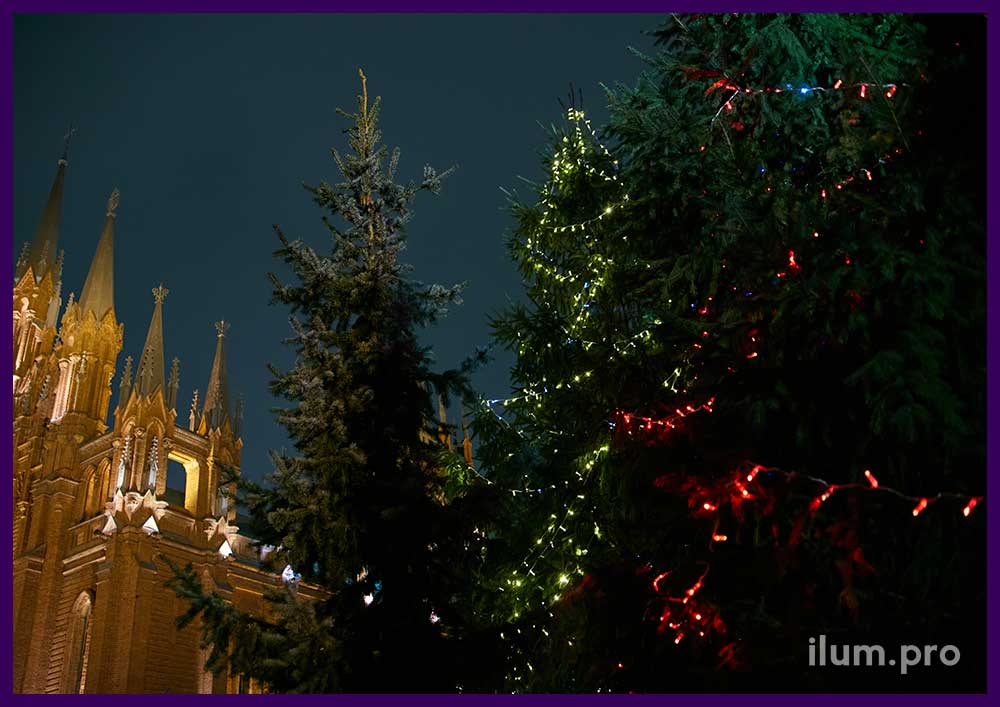 Подсветка ёлок на территории католического собора разноцветными гирляндами