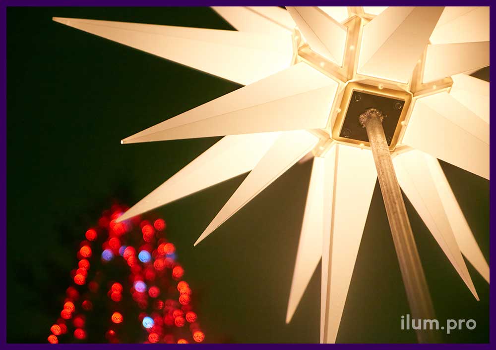 Праздничное украшение территории католического собора в Москве к Рождеству звёздами гернгута и иллюминацией